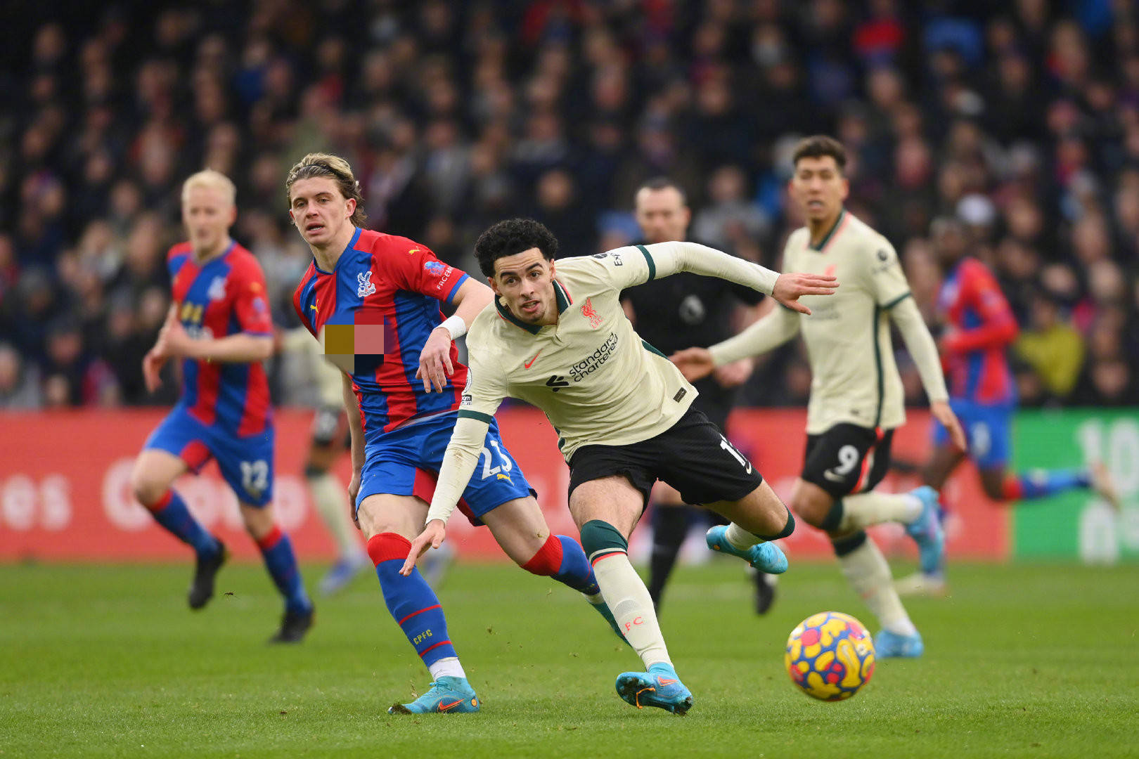 为何能够占 为何能够占